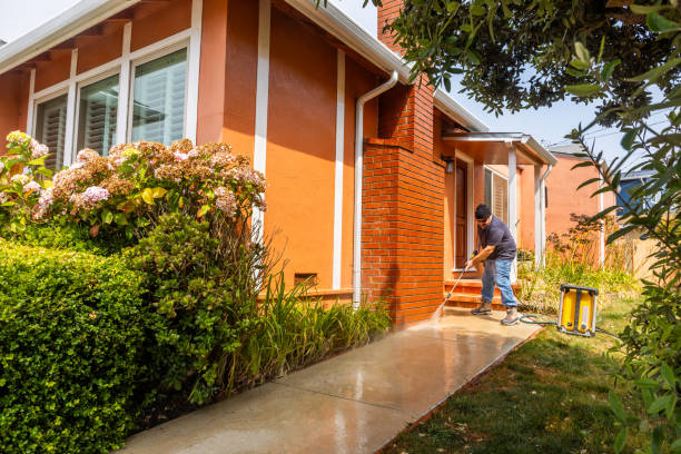 Best Power Washing Near Me  in Spout Springs, NC